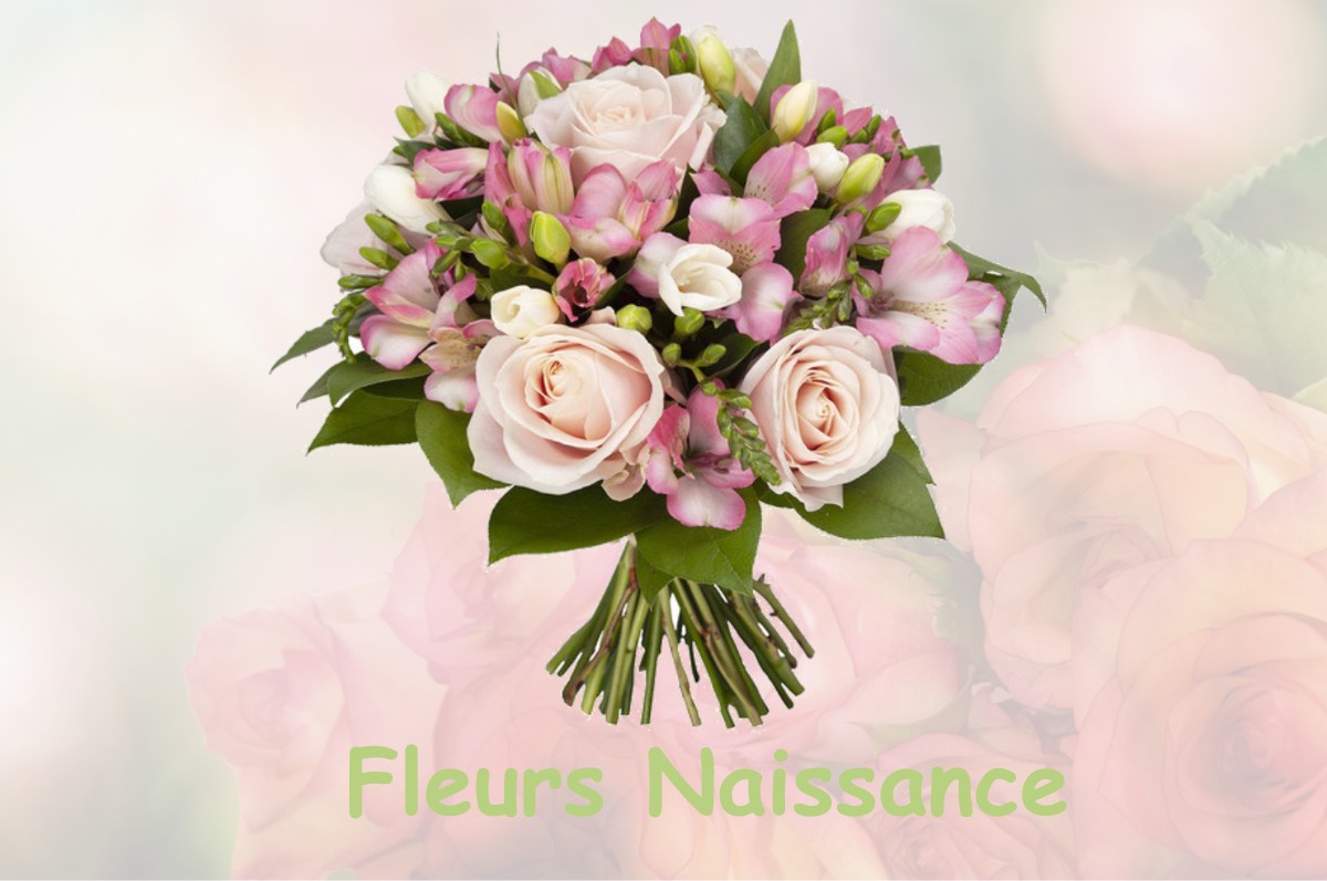 fleurs naissance FLAVIGNY-SUR-OZERAIN